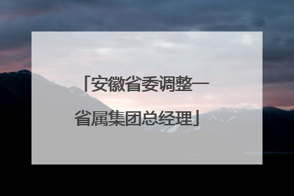 安徽省委调整一省属集团总经理