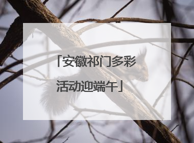 安徽祁门多彩活动迎端午