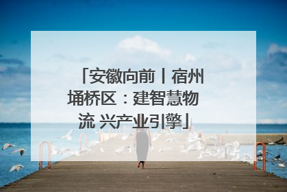 安徽向前丨宿州埇桥区：建智慧物流 兴产业引擎