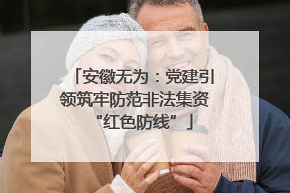 安徽无为：党建引领筑牢防范非法集资“红色防线”
