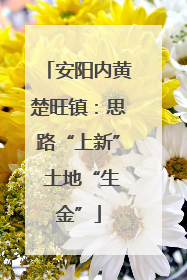 安阳内黄楚旺镇：思路“上新” 土地“生金”
