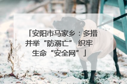 安阳市马家乡：多措并举“防溺亡” 织牢生命“安全网”