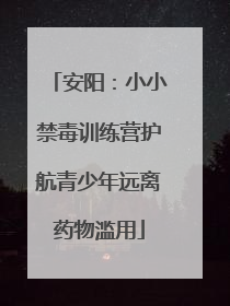安阳：小小禁毒训练营护航青少年远离药物滥用