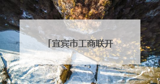 宜宾市工商联开展“民营企业大走访”调研月活动