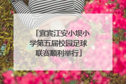 宜宾江安小坝小学第五届校园足球联赛顺利举行