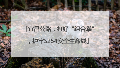 宜昌公路：打好“组合拳”，护牢S254安全生命线