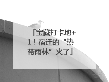 宝藏打卡地+1！宿迁的“热带雨林”火了