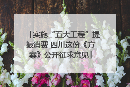 实施“五大工程”提振消费 四川这份《方案》公开征求意见