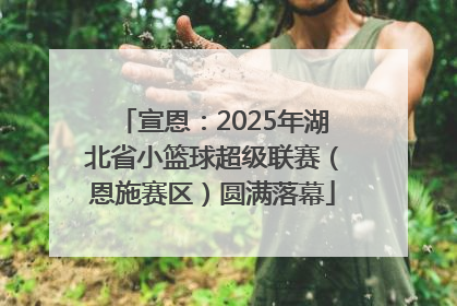 宣恩：2025年湖北省小篮球超级联赛（恩施赛区）圆满落幕