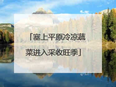 塞上平原冷凉蔬菜进入采收旺季