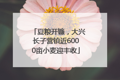 夏粮开镰，大兴长子营镇近6000亩小麦迎丰收