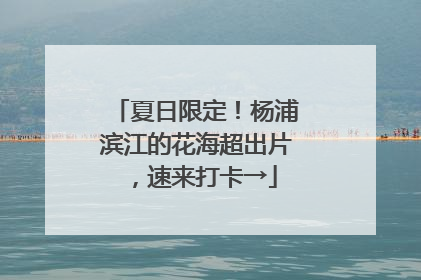 夏日限定！杨浦滨江的花海超出片，速来打卡→