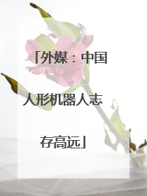 外媒：中国人形机器人志存高远