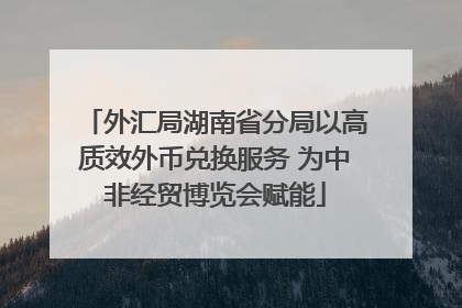外汇局湖南省分局以高质效外币兑换服务 为中非经贸博览会赋能