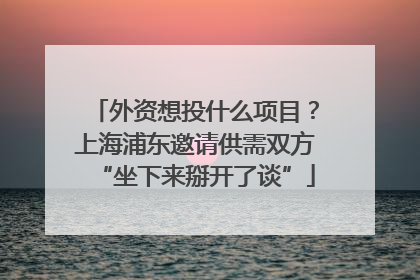 外资想投什么项目？上海浦东邀请供需双方“坐下来掰开了谈”