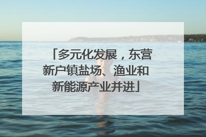 多元化发展，东营新户镇盐场、渔业和新能源产业并进