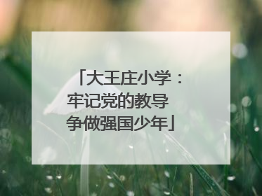 大王庄小学：牢记党的教导 争做强国少年