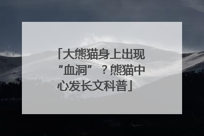 大熊猫身上出现“血洞”？熊猫中心发长文科普