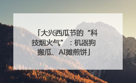 大兴西瓜节的“科技烟火气”：机器狗搬瓜、AI摊煎饼