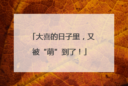 大喜的日子里，又被“萌”到了！
