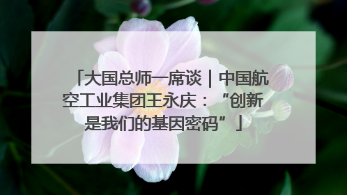 大国总师一席谈｜中国航空工业集团王永庆：“创新是我们的基因密码”