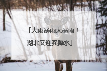 大雨暴雨大暴雨！湖北又迎强降水