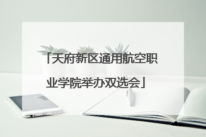 天府新区通用航空职业学院举办双选会