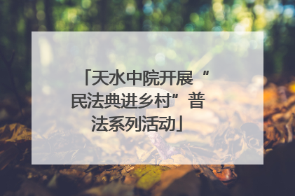 天水中院开展“民法典进乡村”普法系列活动