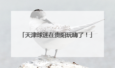 天津球迷在贵阳玩嗨了！