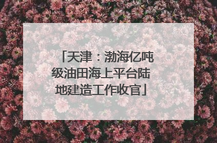 天津：渤海亿吨级油田海上平台陆地建造工作收官