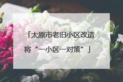 太原市老旧小区改造将“一小区一对策”