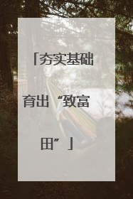 夯实基础育出“致富田”