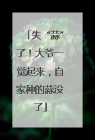 失“蒜”了！大爷一觉起来，自家种的蒜没了
