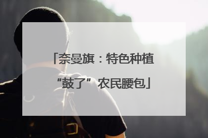 奈曼旗：特色种植“鼓了”农民腰包