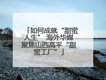 如何成就“甜蜜人生” 海外华媒聚焦山西高平“甜蜜工厂”