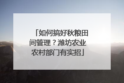 如何搞好秋粮田间管理？潍坊农业农村部门有实招