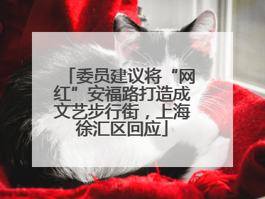 委员建议将“网红”安福路打造成文艺步行街，上海徐汇区回应