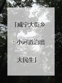 威宁大街乡：小河道治出大民生