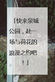 快来泉城公园，赴一场与荷花的浪漫之约吧！