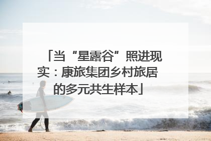 当“星露谷”照进现实：康旅集团乡村旅居的多元共生样本