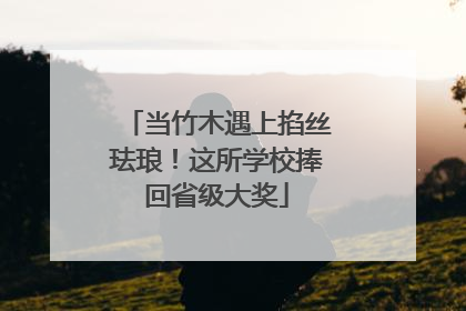 当竹木遇上掐丝珐琅！这所学校捧回省级大奖