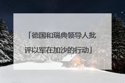 德国和瑞典领导人批评以军在加沙的行动