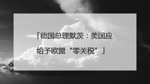 德国总理默茨：美国应给予欧盟“零关税”