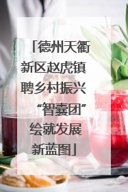 德州天衢新区赵虎镇聘乡村振兴“智囊团” 绘就发展新蓝图