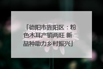 德阳市旌阳区：粉色木耳产销两旺 新品种助力乡村振兴