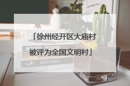 徐州经开区大庙村被评为全国文明村