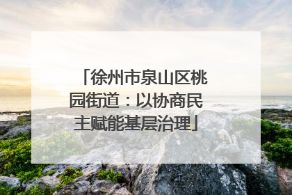 徐州市泉山区桃园街道：以协商民主赋能基层治理