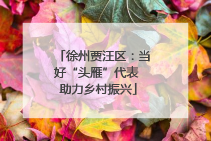 徐州贾汪区：当好“头雁”代表 助力乡村振兴