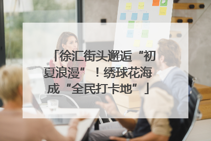 徐汇街头邂逅“初夏浪漫”！绣球花海成“全民打卡地”