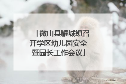 微山县驩城镇召开学区幼儿园安全暨园长工作会议